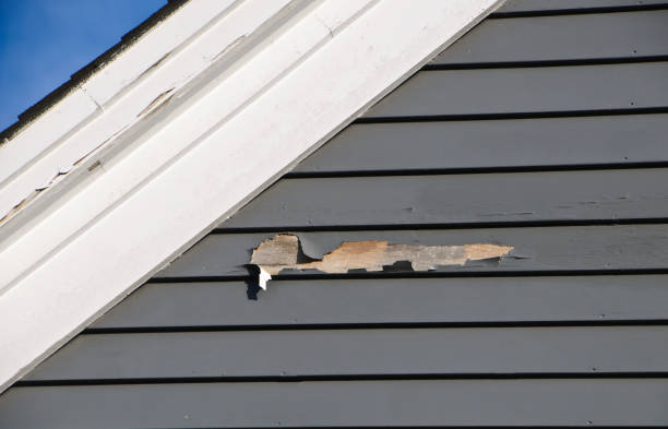  Bridgetown, MS Siding Installation Pros